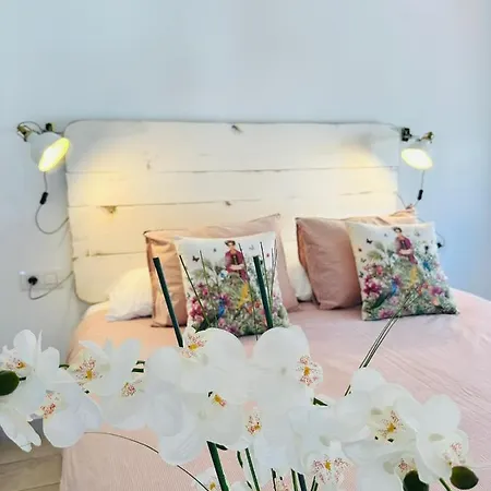 Casa Adelfa 公寓 卡门港