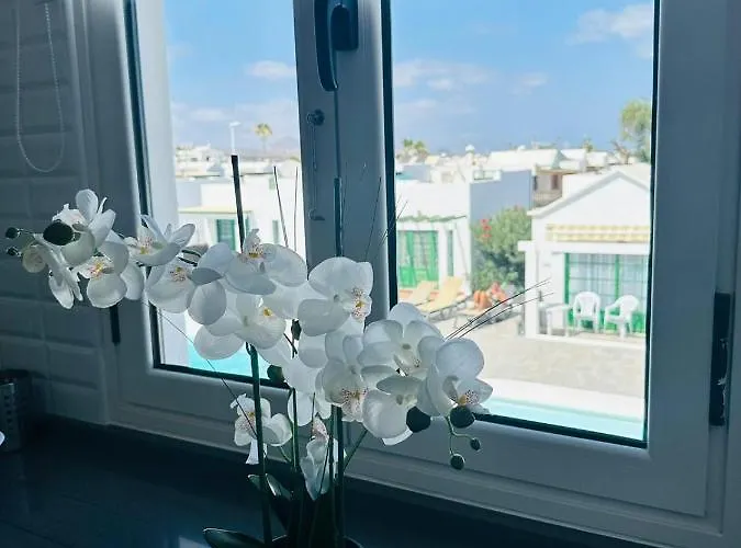 아파트 Casa Adelfa *