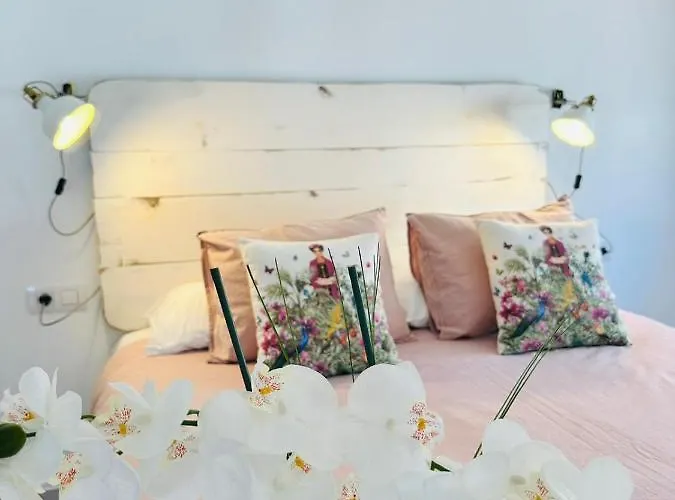 Casa Adelfa 아파트 푸에르토 델 카르멘